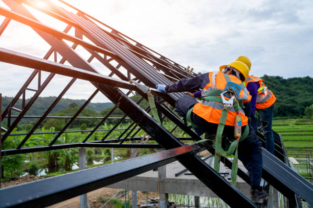 Best Affordable Roof Replacement  in Charles City, IA