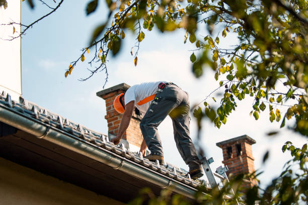 Best Best Roofing Contractors  in Charles City, IA