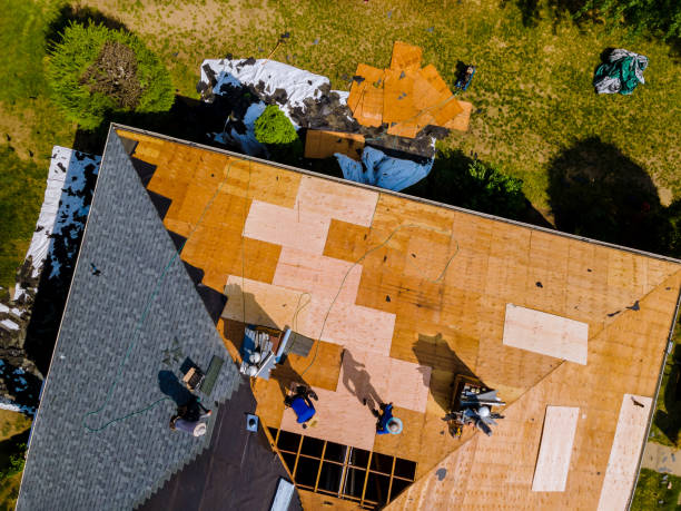 Best Metal Roofing Contractor  in Charles City, IA